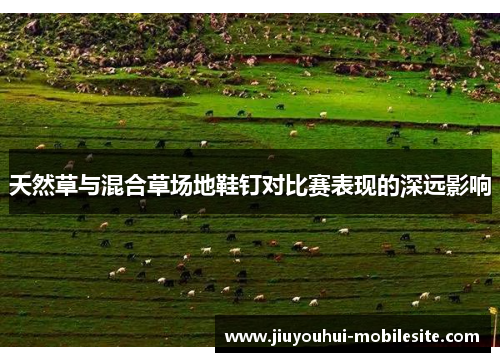 天然草与混合草场地鞋钉对比赛表现的深远影响